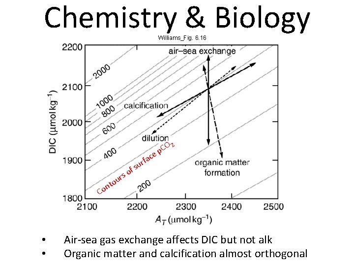 Chemistry & Biology Williams_Fig. 6. 16 ac f r u fs nto o C