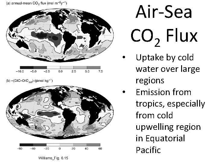 Air-Sea CO 2 Flux • • Williams_Fig. 6. 15 Uptake by cold water over