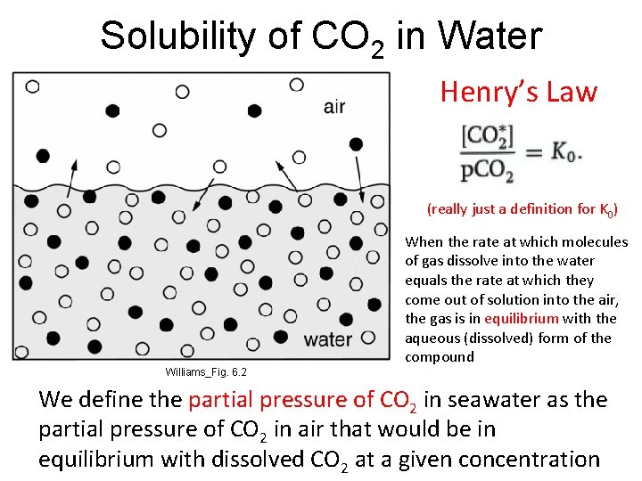 Solubility of CO 2 in Water Henry’s Law (really just a definition for K