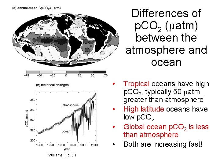 Differences of p. CO 2 (matm) between the atmosphere and ocean • • Williams_Fig.