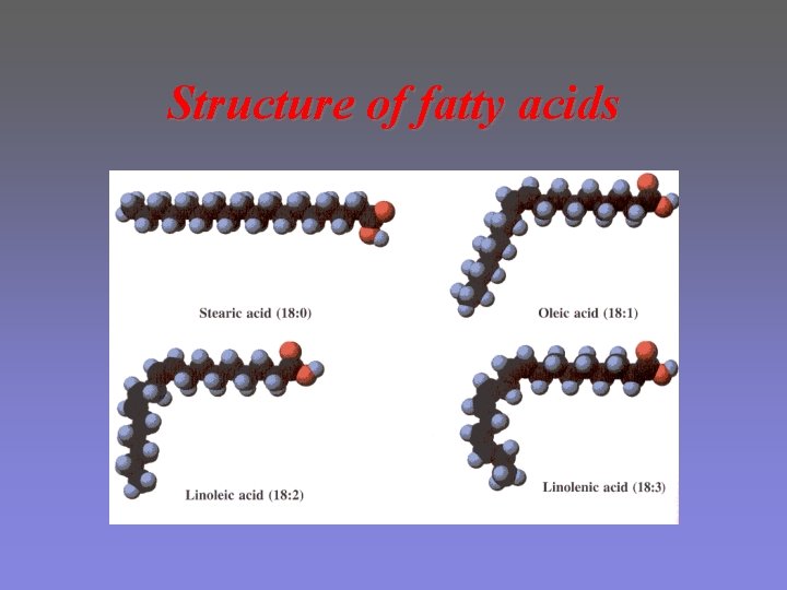 Structure of fatty acids 