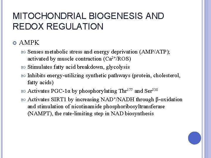 MITOCHONDRIAL BIOGENESIS AND REDOX REGULATION AMPK Senses metabolic stress and energy deprivation (AMP/ATP); activated