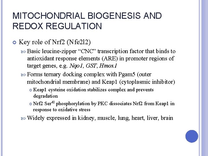 MITOCHONDRIAL BIOGENESIS AND REDOX REGULATION Key role of Nrf 2 (Nfe 2 l 2)