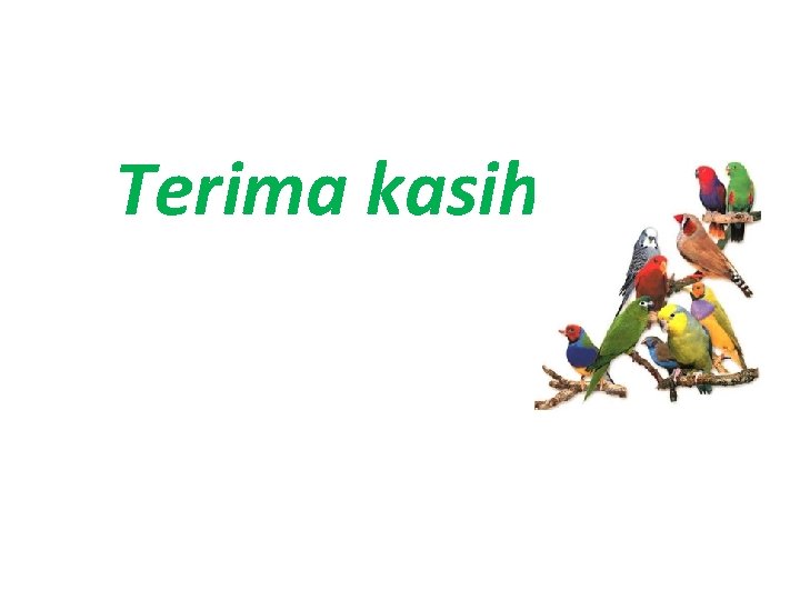 Terima kasih 