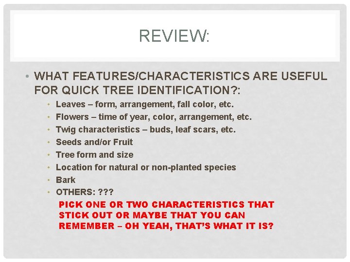 REVIEW: • WHAT FEATURES/CHARACTERISTICS ARE USEFUL FOR QUICK TREE IDENTIFICATION? : • • Leaves