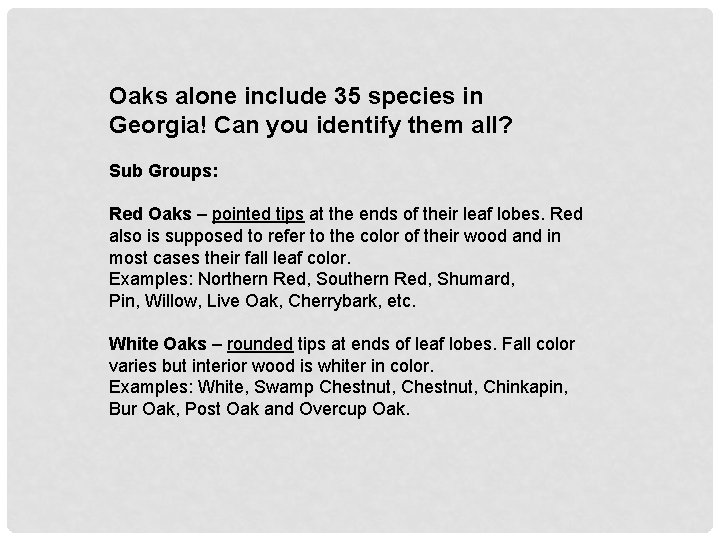Oaks alone include 35 species in Georgia! Can you identify them all? Sub Groups: