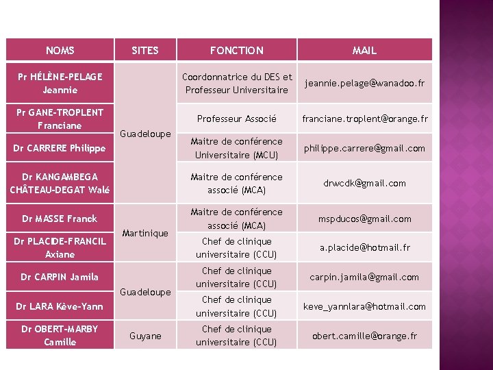NOMS FONCTION MAIL Pr HÉLÈNE-PELAGE Jeannie Coordonnatrice du DES et Professeur Universitaire jeannie. pelage@wanadoo.