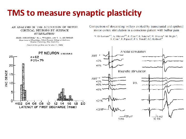 TMS to measure synaptic plasticity 