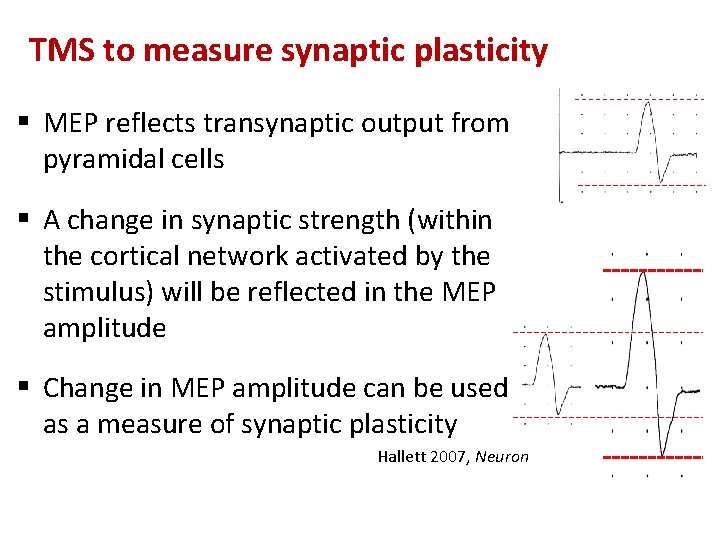 TMS to measure synaptic plasticity § MEP reflects transynaptic output from pyramidal cells §