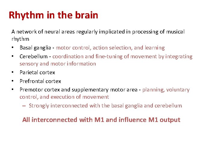 Rhythm in the brain A network of neural areas regularly implicated in processing of