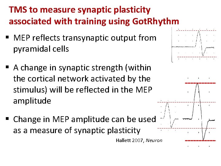 TMS to measure synaptic plasticity associated with training using Got. Rhythm § MEP reflects