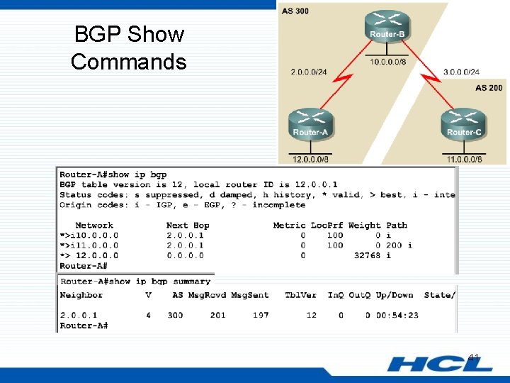 BGP Show Commands 41 