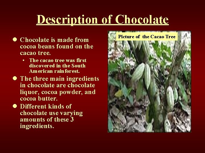 Description of Chocolate l Chocolate is made from cocoa beans found on the cacao