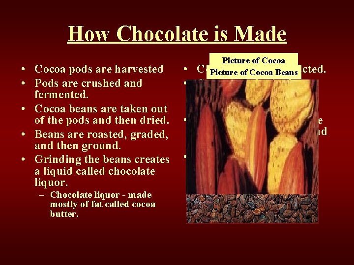How Chocolate is Made • Cocoa pods are harvested • Pods are crushed and