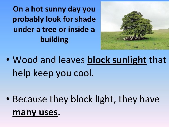 On a hot sunny day you probably look for shade under a tree or