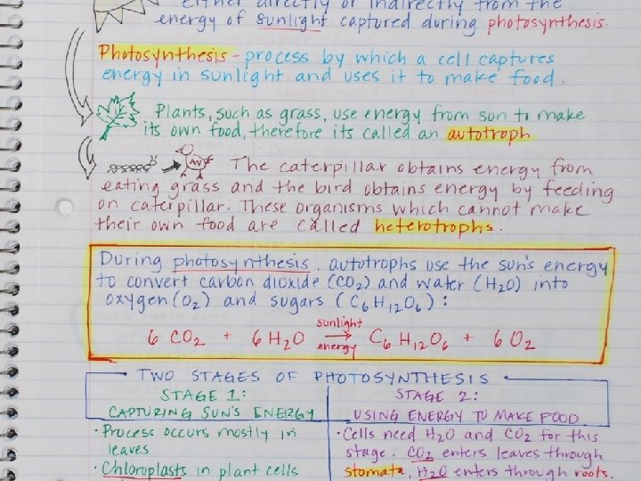 Regents Biology 