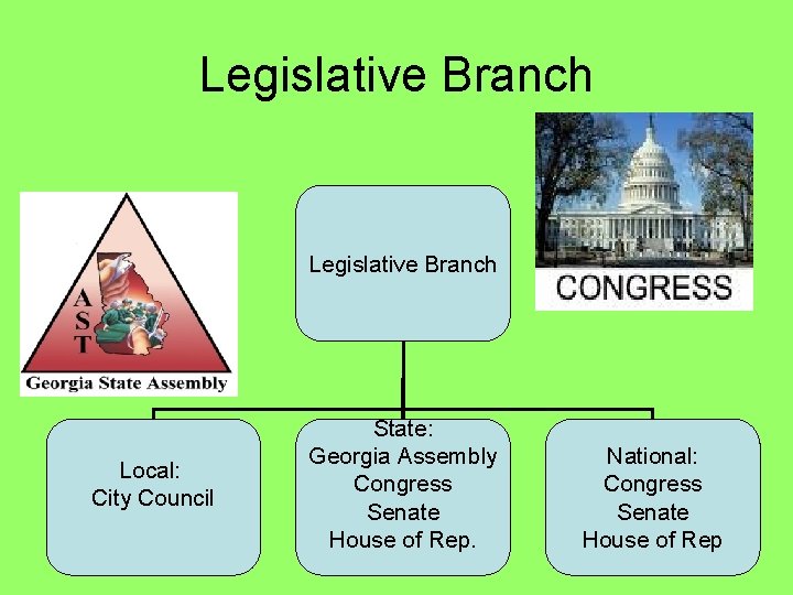 Legislative Branch Local: City Council State: Georgia Assembly Congress Senate House of Rep. National: