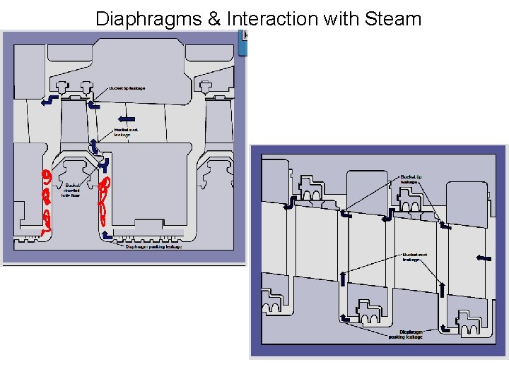 Diaphragms & Interaction with Steam 