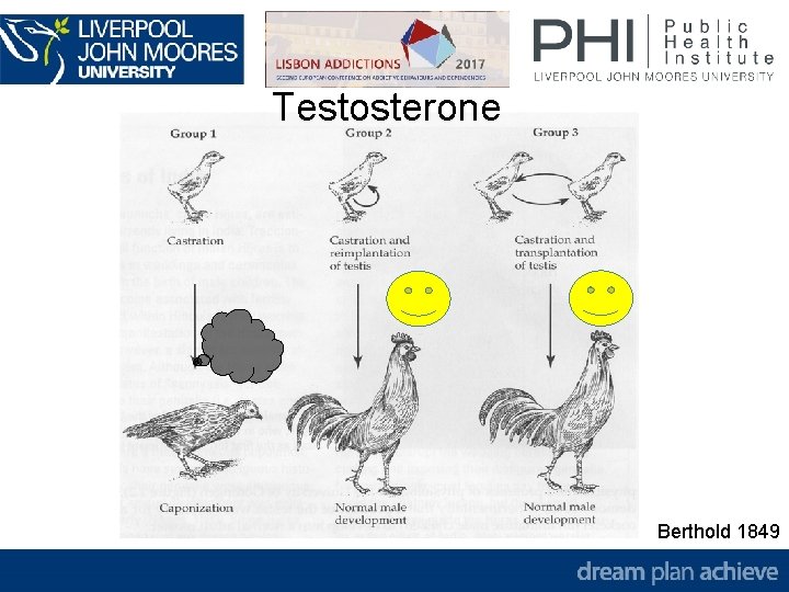 Testosterone Berthold 1849 