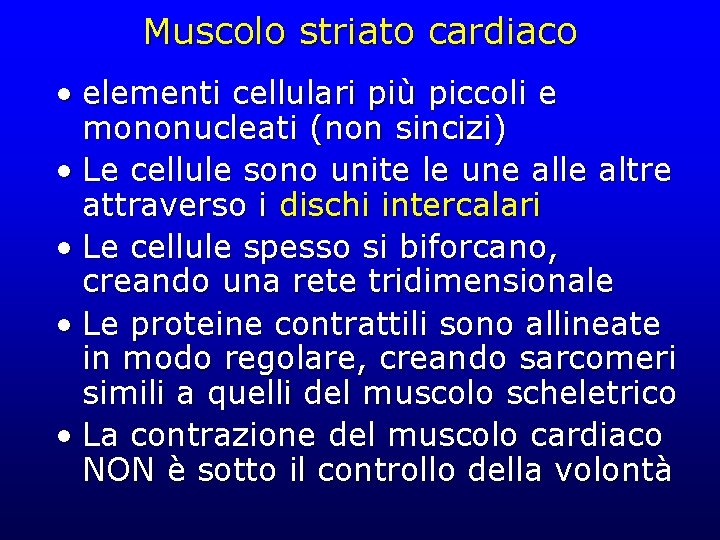 Muscolo striato cardiaco • elementi cellulari più piccoli e mononucleati (non sincizi) • Le