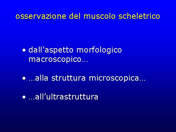osservazione del muscolo scheletrico • dall’aspetto morfologico macroscopico… • …alla struttura microscopica… • …all’ultrastruttura osservazione del muscolo scheletrico • dall’aspetto morfologico macroscopico… • …alla struttura microscopica… • …all’ultrastruttura