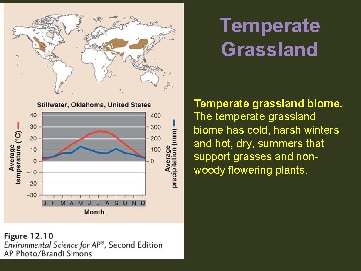 Temperate Grassland Temperate grassland biome. The temperate grassland biome has cold, harsh winters and
