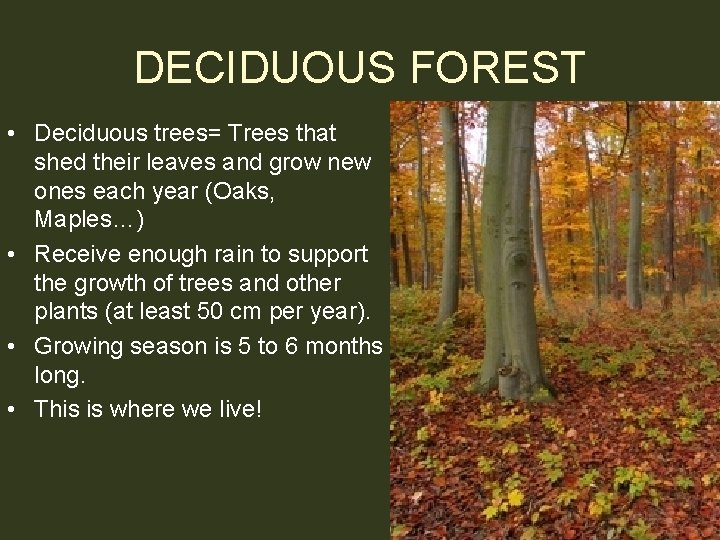 DECIDUOUS FOREST • Deciduous trees= Trees that shed their leaves and grow new ones