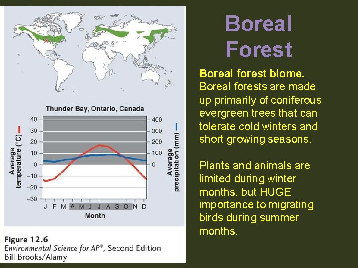 Boreal Forest Boreal forest biome. Boreal forests are made up primarily of coniferous evergreen
