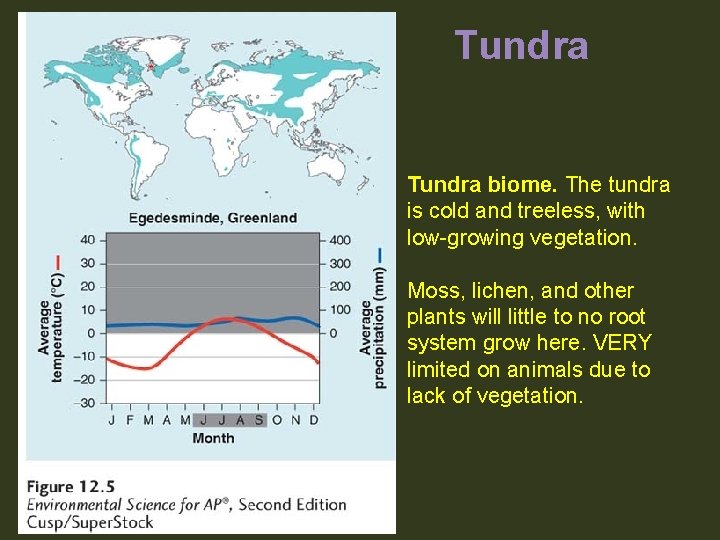 Tundra biome. The tundra is cold and treeless, with low-growing vegetation. Moss, lichen, and