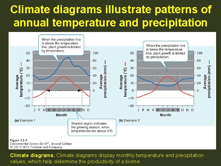 Climate diagrams illustrate patterns of annual temperature and precipitation Climate diagrams display monthly temperature