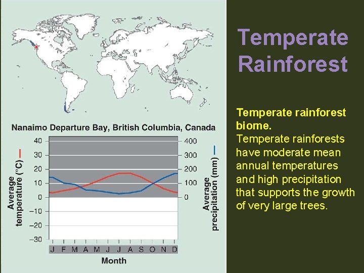 Temperate Rainforest Temperate rainforest biome. Temperate rainforests have moderate mean annual temperatures and high