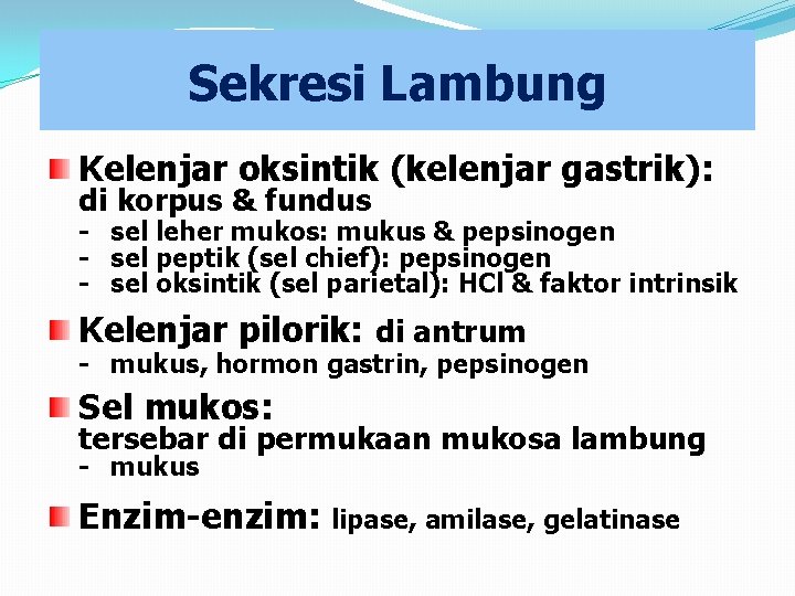 Sekresi Lambung Kelenjar oksintik (kelenjar gastrik): di korpus & fundus - sel leher mukos: