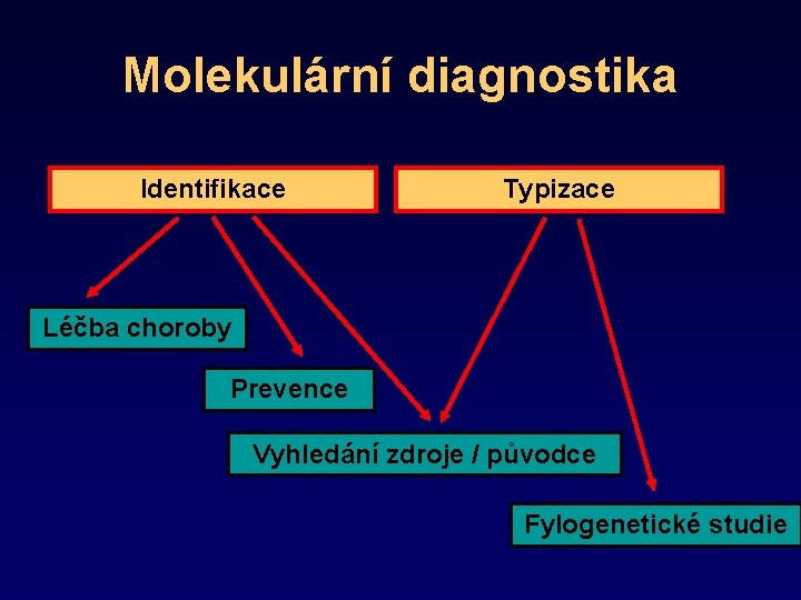 Molekulární diagnostika Identifikace Typizace Léčba choroby Prevence Vyhledání zdroje / původce Fylogenetické studie 