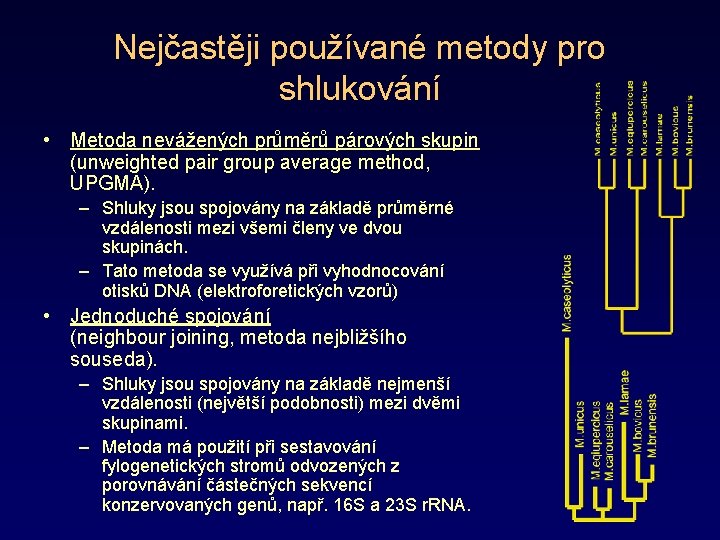 Nejčastěji používané metody pro shlukování • Metoda nevážených průměrů párových skupin (unweighted pair group