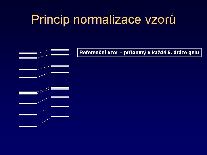 Princip normalizace vzorů Referenční vzor – přítomný v každé 6. dráze gelu 