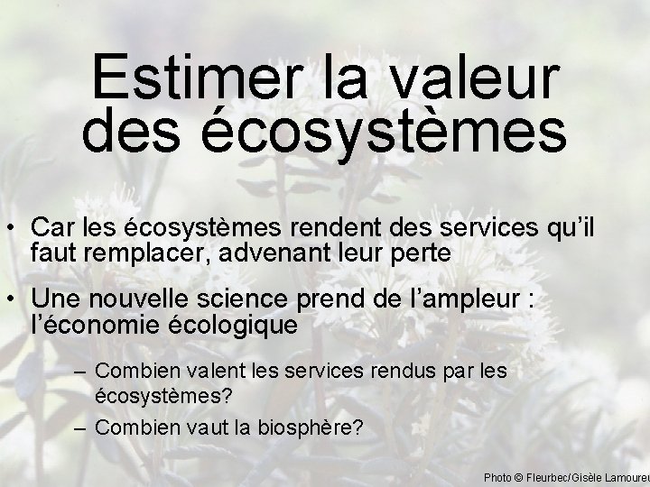 Estimer la valeur des écosystèmes • Car les écosystèmes rendent des services qu’il faut