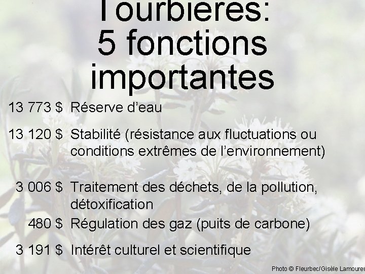 Tourbières: 5 fonctions importantes 13 773 $ Réserve d’eau 13 120 $ Stabilité (résistance