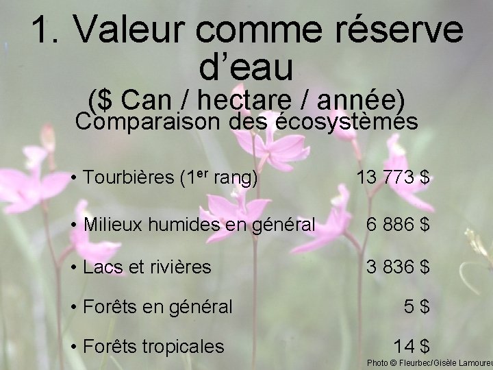 1. Valeur comme réserve d’eau ($ Can / hectare / année) Comparaison des écosystèmes