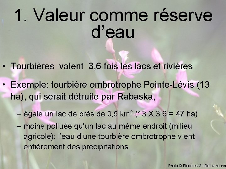 1. Valeur comme réserve d’eau • Tourbières valent 3, 6 fois les lacs et