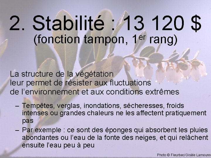 2. Stabilité : 13 120 $ er (fonction tampon, 1 rang) La structure de