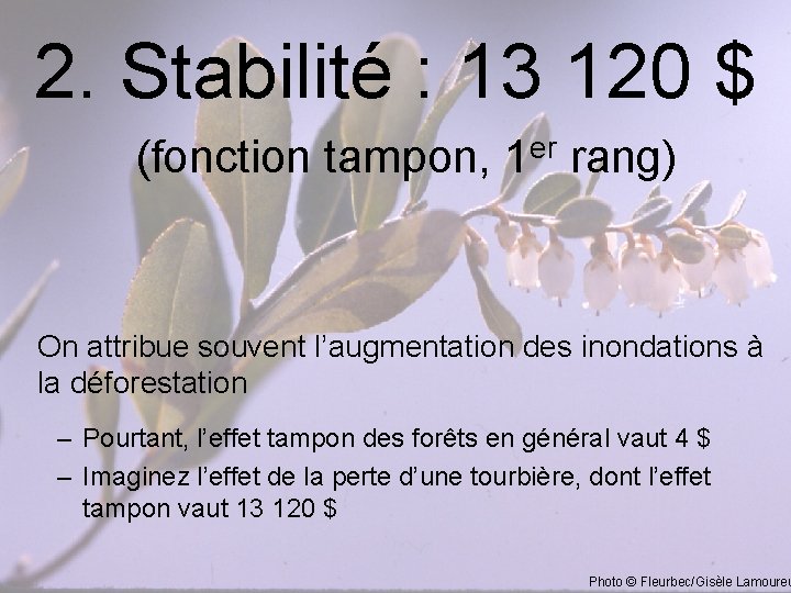 2. Stabilité : 13 120 $ (fonction tampon, 1 rang) er On attribue souvent