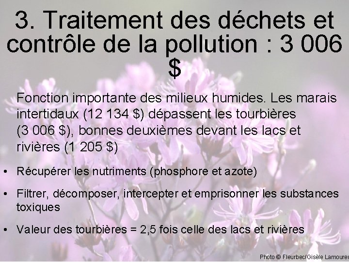 3. Traitement des déchets et contrôle de la pollution : 3 006 $ Fonction