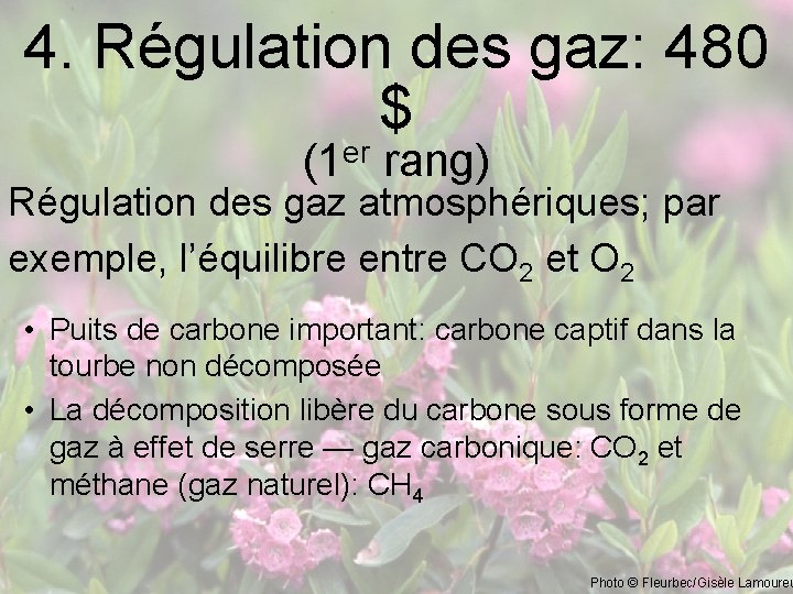 4. Régulation des gaz: 480 $ er (1 rang) Régulation des gaz atmosphériques; par
