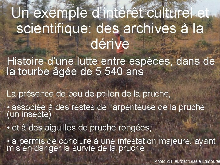 Un exemple d’intérêt culturel et scientifique: des archives à la dérive Histoire d’une lutte