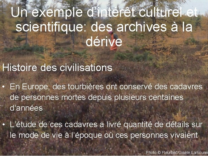 Un exemple d’intérêt culturel et scientifique: des archives à la dérive Histoire des civilisations