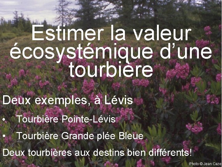 Estimer la valeur écosystémique d’une tourbière Deux exemples, à Lévis • Tourbière Pointe-Lévis •