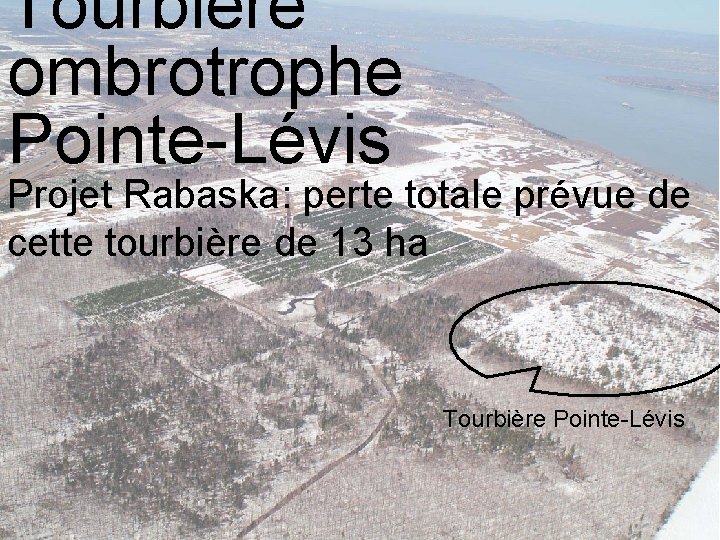 Tourbière ombrotrophe Pointe-Lévis Projet Rabaska: perte totale prévue de cette tourbière de 13 ha