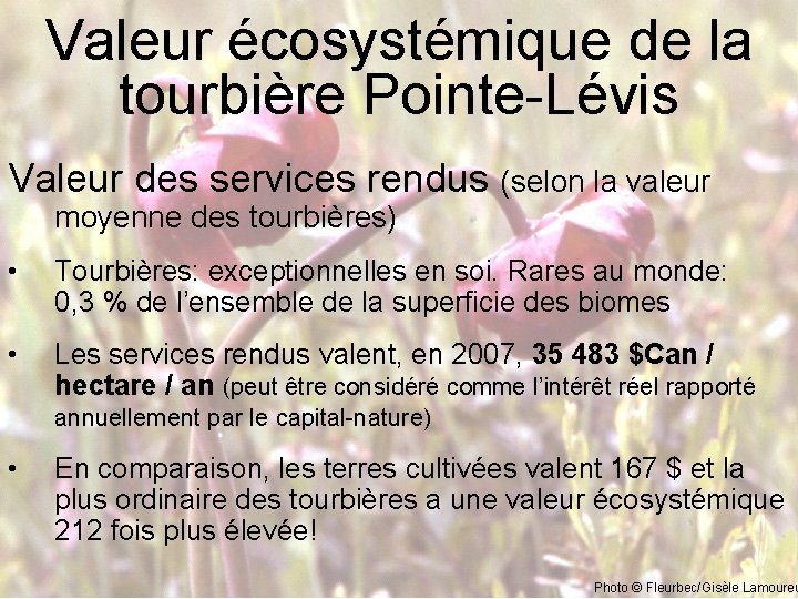 Valeur écosystémique de la tourbière Pointe-Lévis Valeur des services rendus (selon la valeur moyenne
