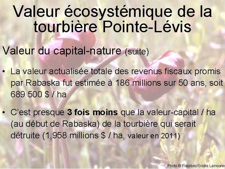 Valeur écosystémique de la tourbière Pointe-Lévis Valeur du capital-nature (suite) • La valeur actualisée