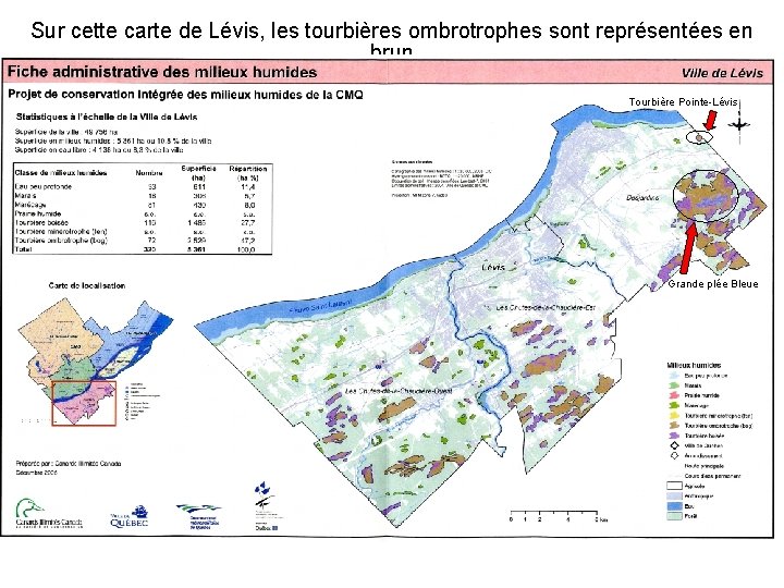 Sur cette carte de Lévis, les tourbières ombrotrophes sont représentées en brun Tourbière Pointe-Lévis